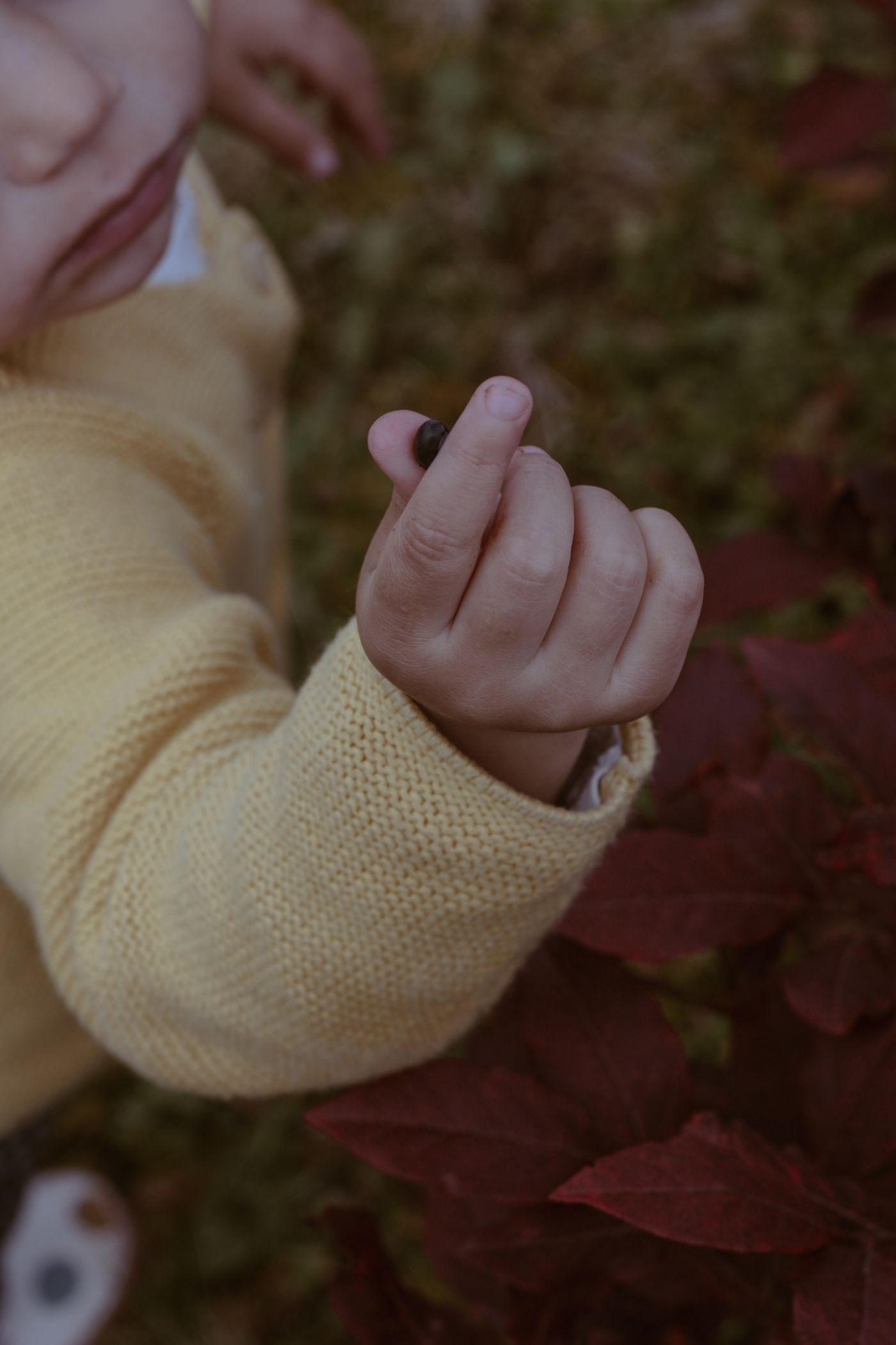 Child holding a small flower