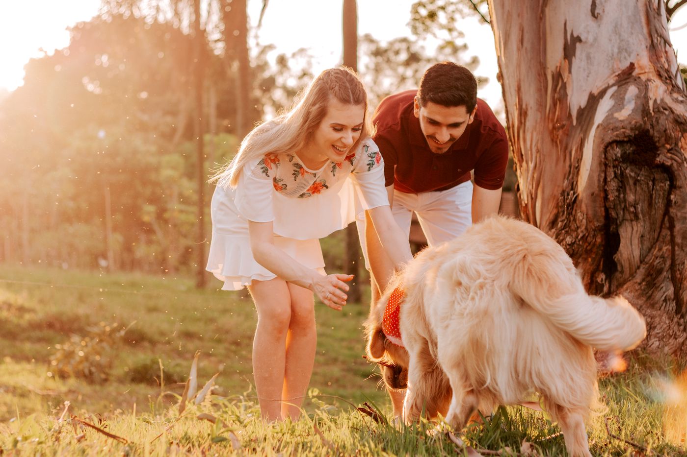Couple playing with their dog at golden hour