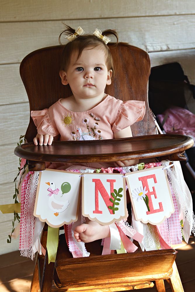 First birthday in the high chair